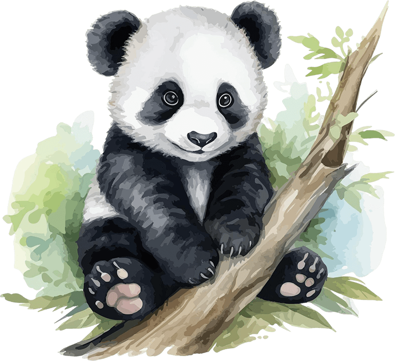 panda